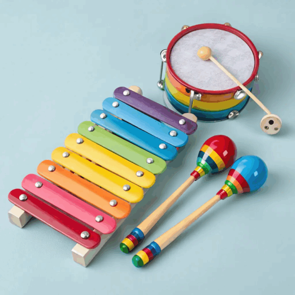 Musical Instrument Set for Beginners